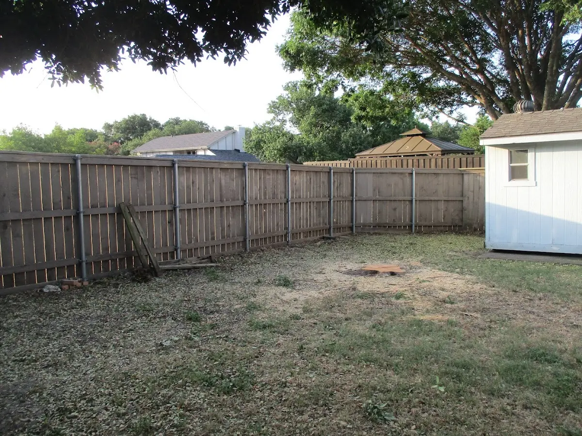 Cleared yard after professional tree removal in Green Lake